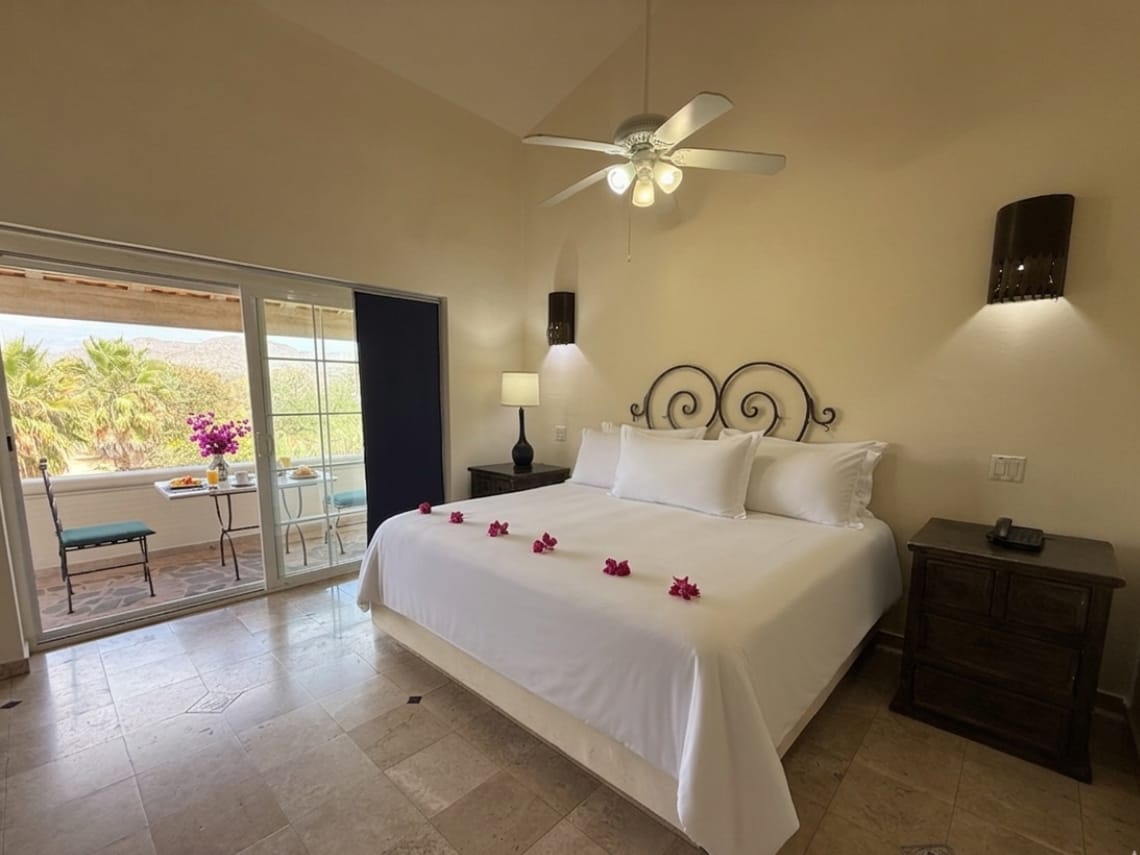 Garden Suite